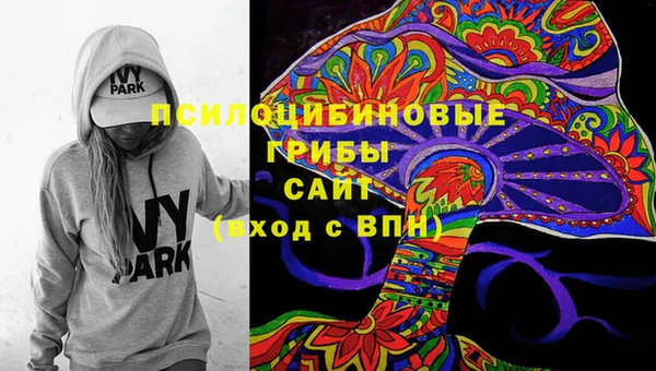 соль ск Белоозёрский